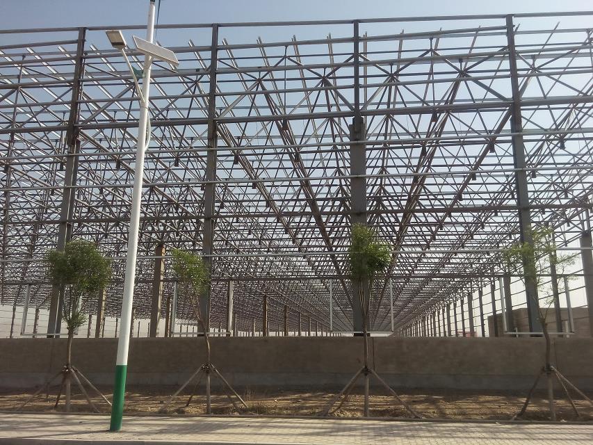 项城汽车工业厂房网架