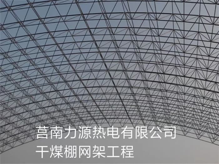 项城力源热电有限公司干煤棚网架工程